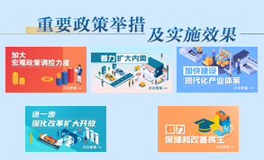 重要政策舉措及實(shí)施效果專題